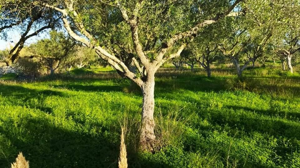 Casa Katina , In Lagana, Agrilia Area